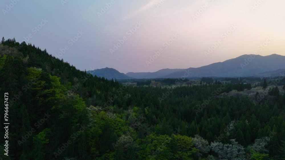 森林　空撮　山　豊かな森林資源　イメージ