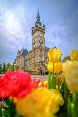 Bielsko-Biała kwiaty wiosna © charlottemelanie