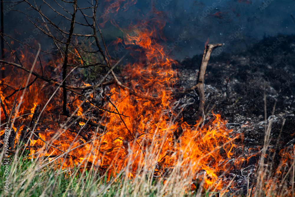 Vegetation fire in fields due to high temperatures. Vegetation fire in fields due to high temperatures.
