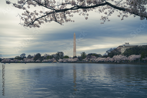 Washington Monument during cherry blossom season at the tidal basin