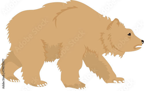 
Polar and antarctic bear vector image, Bear Icon Concept vector illustration for design, depicting bear symbol