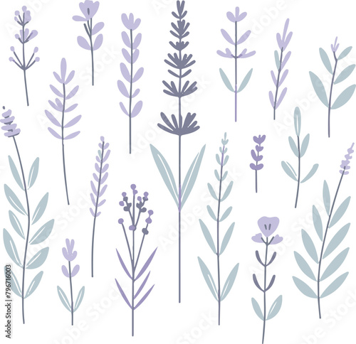 minimalistic flat vector lavender summer illustration on a white background, isolated