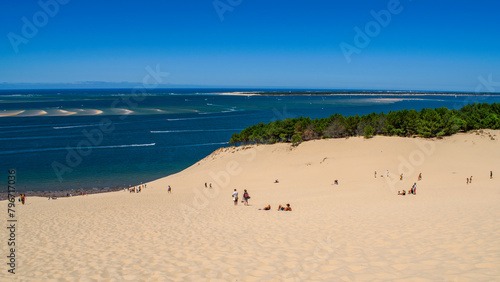 sandy beach in the summer, sea, sky, blue, sand, hot, holidays, tree 