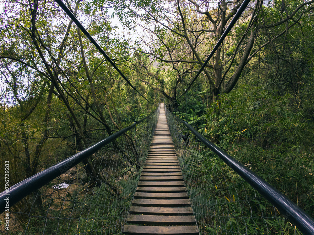 Obraz premium Cable bridge through the central american jungle 
