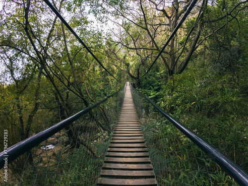 Cable bridge through the central american jungle  © Cam