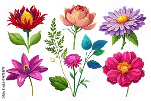 6-set-of-veristic-flower-vector illustration