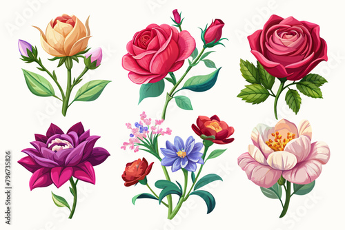 6-set-of-veristic-flower-vector illustration