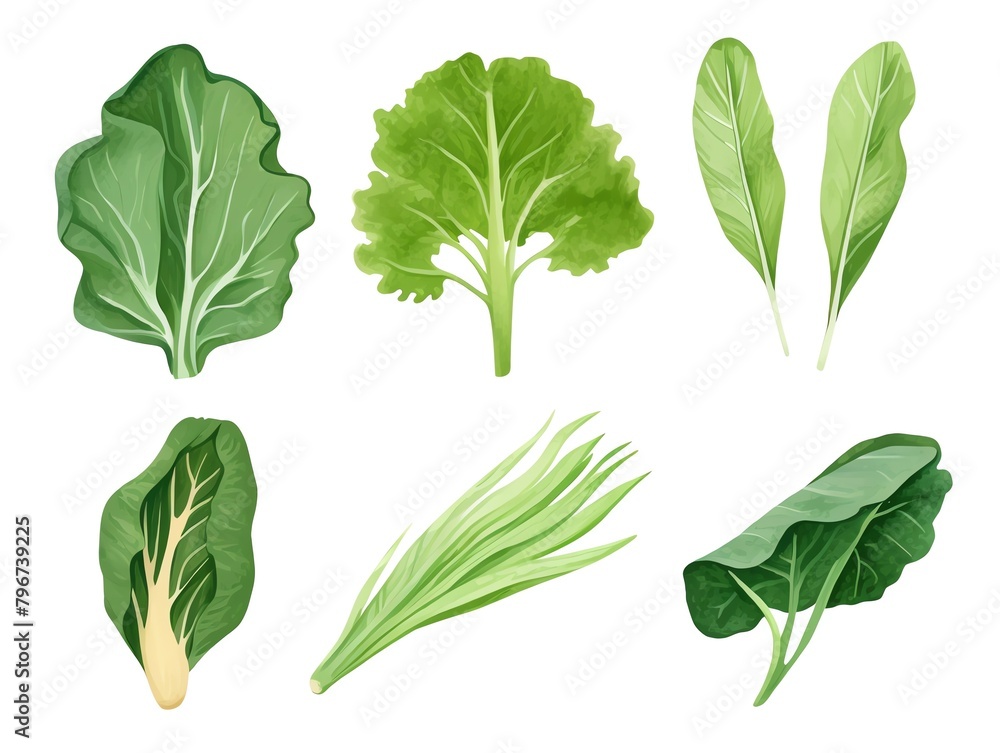 Leafy Greens , Variety of leafy greens in shades of deep emerald Leafy Greens , Variety of leafy greens in shades of deep emerald