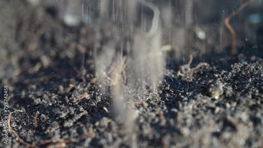 regenerative organic farmer, taking soil samples and looking at plant growth in a farm. practicing sustainable agriculture. in australia regenerative organic farmer, taking soil samples and looking at plant growth in a farm. practicing sustainable agriculture. in australia