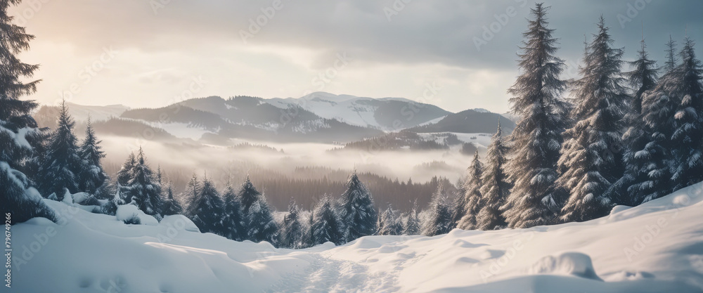 winter beauty there are fir trees covered in white snow winter beauty there are fir trees covered in white snow