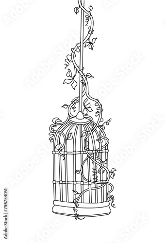 Birdcage entwined with ivy plant flowers line drawing, logo, emblem, hand drawn print, tattoo,  isolated vector illustration on white background. (ID: 796754051)