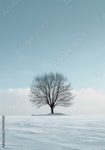 b'Tree in the middle of a snowy field' © duyina1990