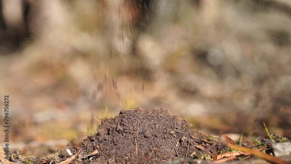 farmer collecting soil samples in a test tube in a field. Agronomist checking soil carbon and plant health on a farm farmer collecting soil samples in a test tube in a field. Agronomist checking soil carbon and plant health on a farm
