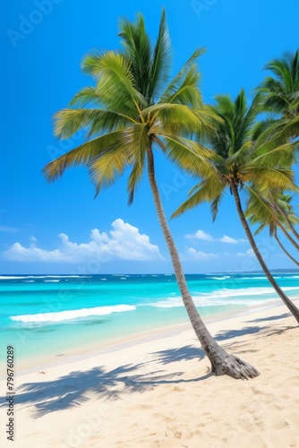 b Beach with palm trees 