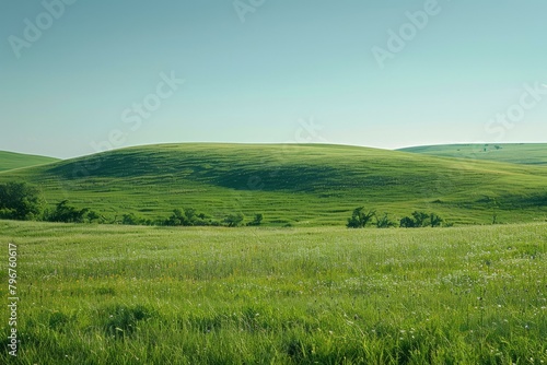 b'Vast green rolling hills under clear blue sky'