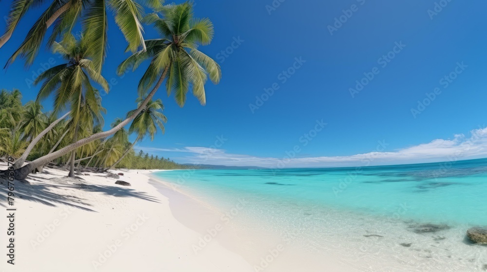 b'Beach with palm trees'