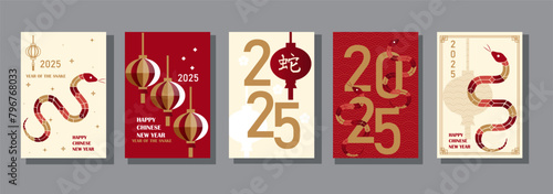 Template layout Chinese New Year 2025, year of the snake, zodiac