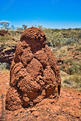 Large termite mound of red earth in the Western Australian outback. Karijini National Park, Pilbara
 photo