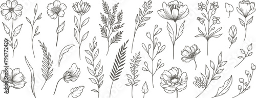 Floral collection in line art style. Hand drawn elements of wild and garden plants, branches, leaves, flowers, herbs. Vector botanical illustration for logo or tattoo, invitation, save the date, card © Feodora_21
