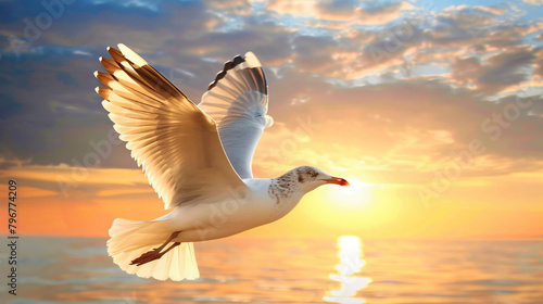 Seagull spreads wings symbol