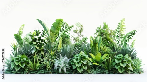 A lush green plant with a variety of leaves and stems