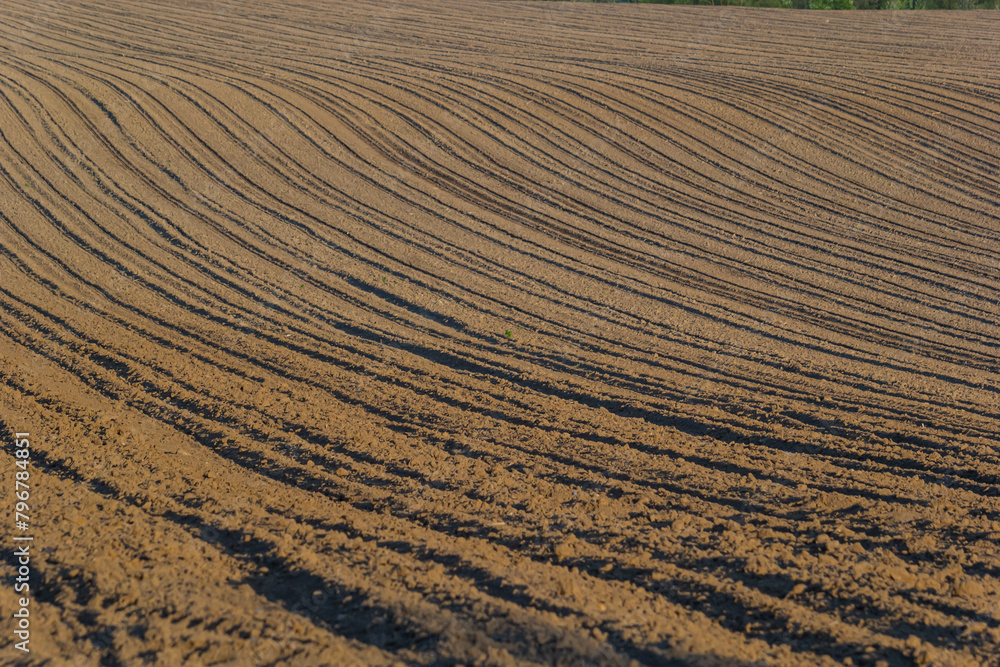 Plowed, Planted And Hilling Rows Black-earth Field. Ground Texture Plowed, Planted And Hilling Rows Black-earth Field. Ground Texture