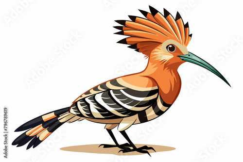  hoopoe bird different style vector artwork illustration  photo