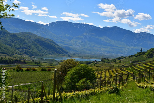 Blick zum Kalterer See in Südtirol  photo