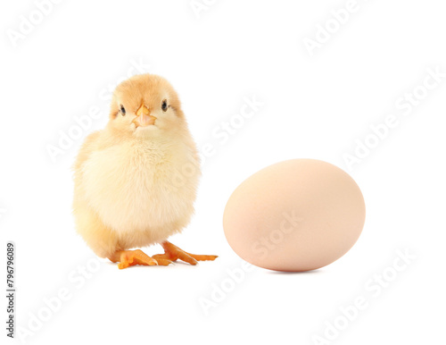 Cute chick and egg isolated on white. Baby animal