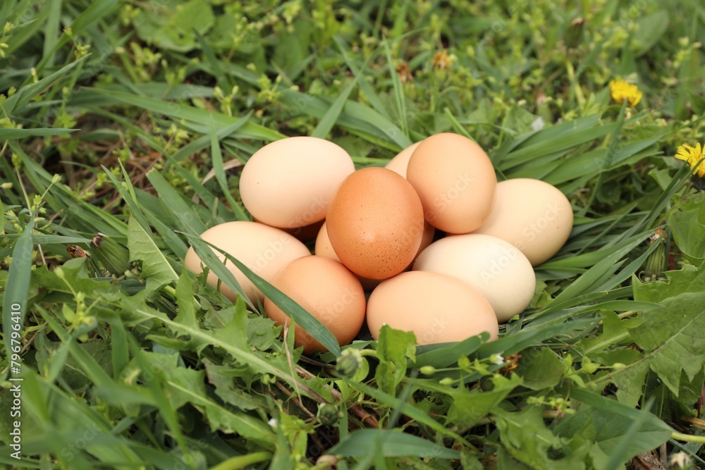 Fresh chicken eggs on green grass outdoors Fresh chicken eggs on green grass outdoors