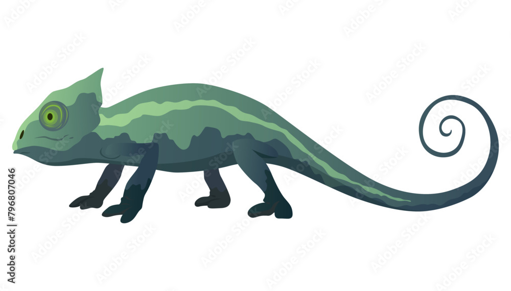 Obraz premium Chameleon lizard. Reptiles with curved tail and camouflage skin, tropical wildlife. Vector exotic animal illustration