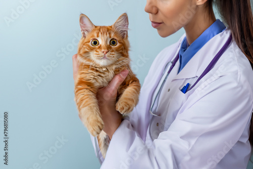 Veterinarian holding cat. Red kitten in a veterinary clinic. Veterinarian with red cat. Red cat being examined by a veterinarian.  Sick cat. Veterinarian carrying cat. Vet and cat. Vet clinic.