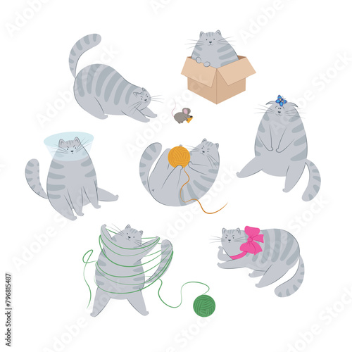 Funny cat with different objects and with various emotions. Cute striped grey. Cat behavior, body language and face expressions. Set of vector illustrations