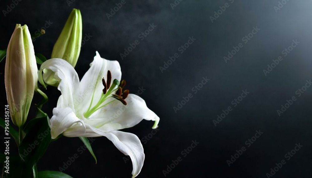 A banner with a dark background and white lily flowers. mourning is depicted through the imagery. Remembering and mourning are emphasized A banner with a dark background and white lily flowers. mourning is depicted through the imagery. Remembering and mourning are emphasized
