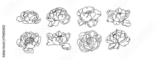 Set of peony line art hand drawn, floral sketch botanical outline, continuous line art collection. Vector illustration