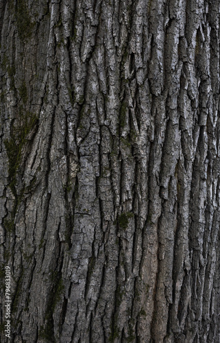 Rugged, natural wood grain pattern with earthy tones and rough, organic details