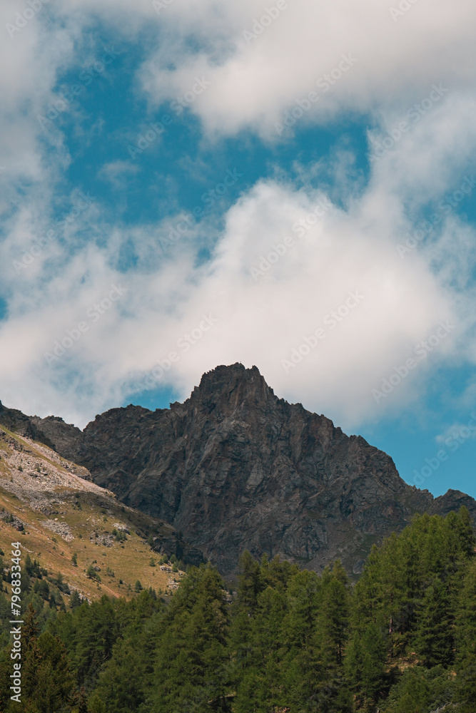 cime roccia montagne Trentino 