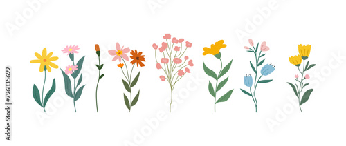 A collection of colorful spring flowers in soft colors, botanical species in flat design style, nature floral bloom decorative elements. Vector illustration