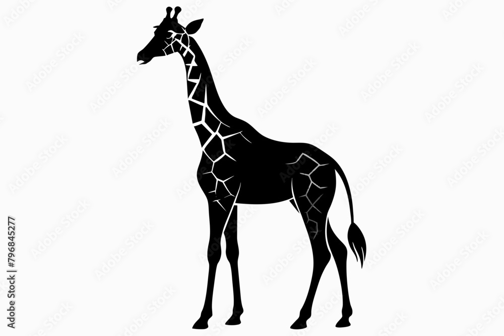 Fototapeta premium black giraffe silhouette vector illustration on white background