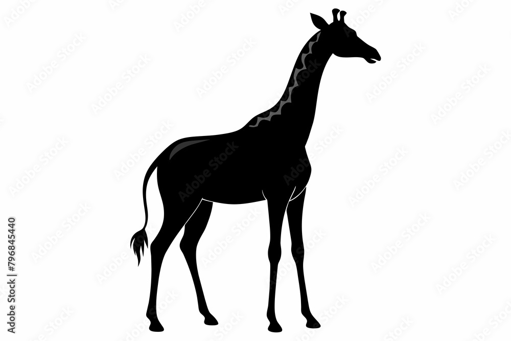 Fototapeta premium black giraffe silhouette vector illustration on white background