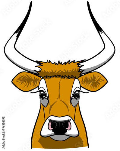 Head cow Isolated illustration with long horns closeup front view ready for printing	
