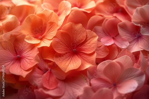 A floral gradient from rose to peach with a petal texture, delicate and romantic,