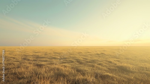 This is a beautiful landscape image of a vast, open field of tall, dry grass. © Nijat