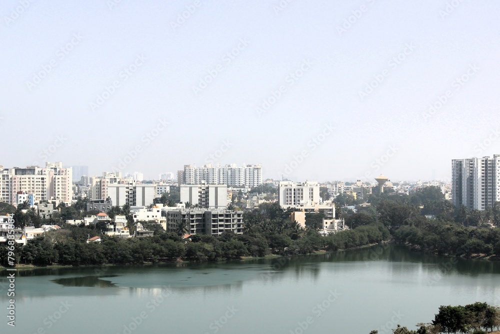 Naklejka premium Flowers and Leaves are blooming in lakeside and water