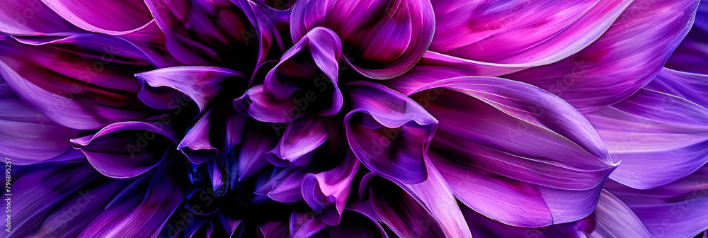 A close up of a purple flower with a purple background A close up of a purple flower with a purple background