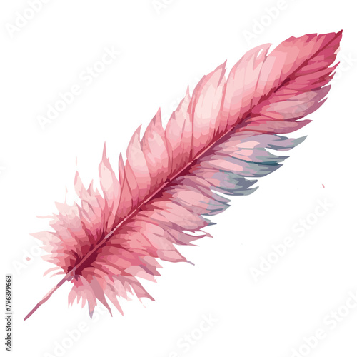 Pink feather watercolor vector illustration isolated on transparent background