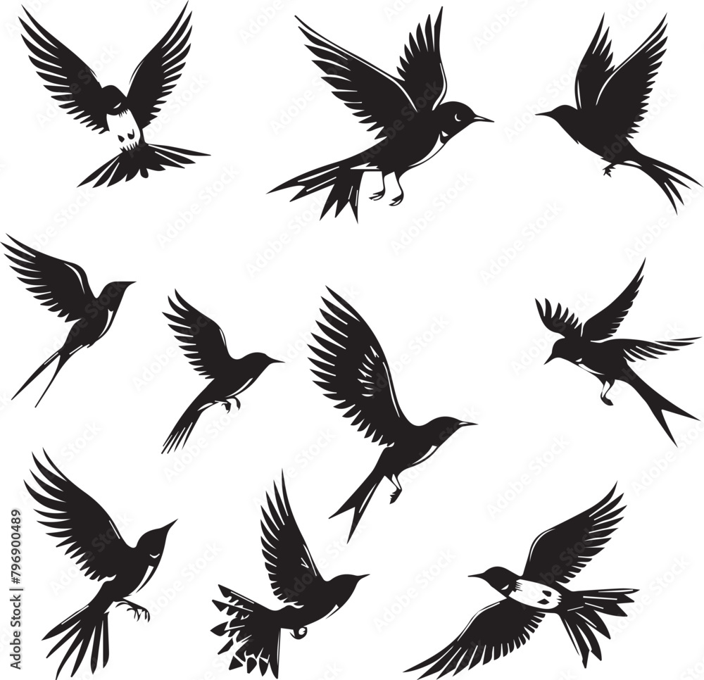 Fototapeta premium Set of Beautiful Birds black Silhouette on white background