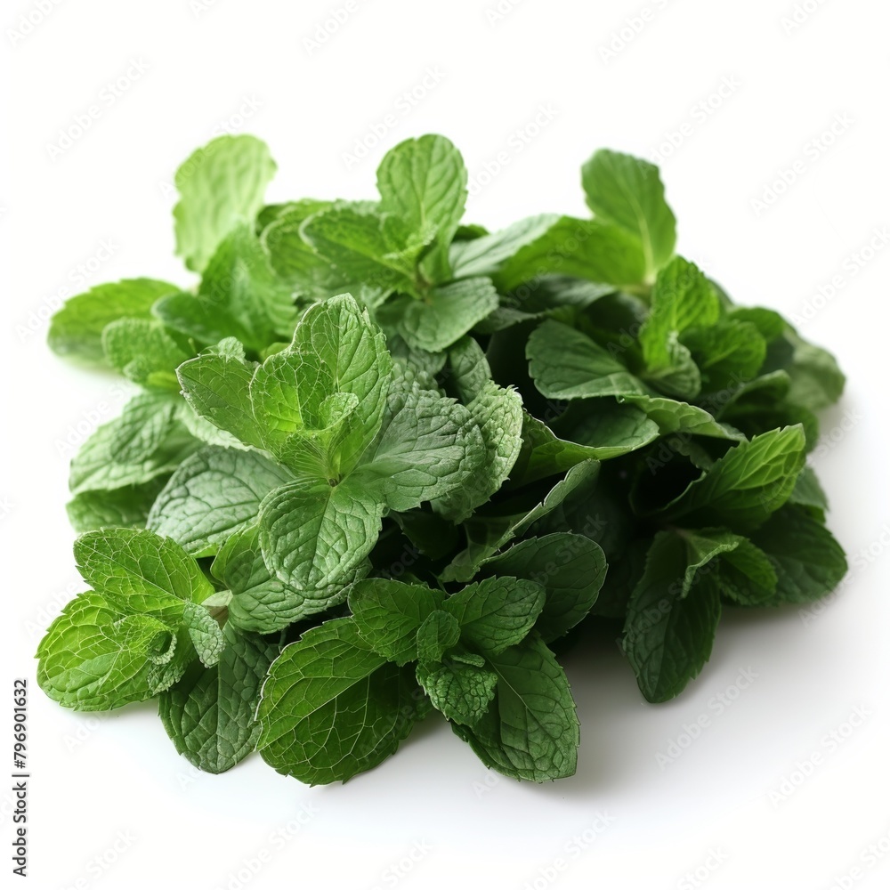 Fresh green mint leaves, aromatic and flavorful, perfect for cooking, garnishing, or making refreshing drinks like mojitos. Fresh green mint leaves, aromatic and flavorful, perfect for cooking, garnishing, or making refreshing drinks like mojitos.