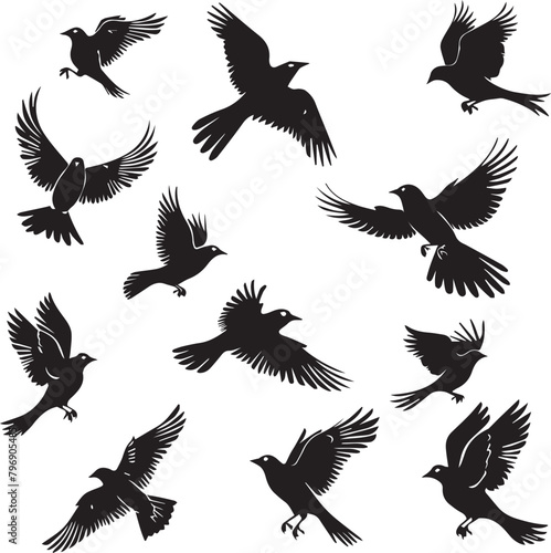 Set of Beautiful Birds black Silhouette