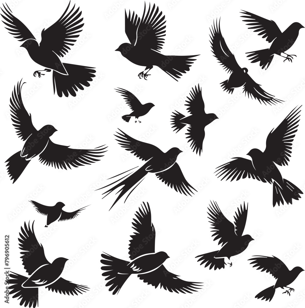 Obraz premium Set of Beautiful Birds black Silhouette